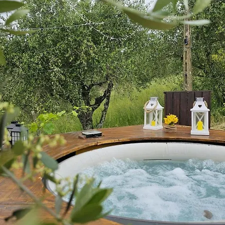 Panoramic In The Lucca Hills *