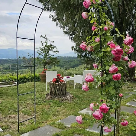 Panoramic In The Lucca Hills * Capannori