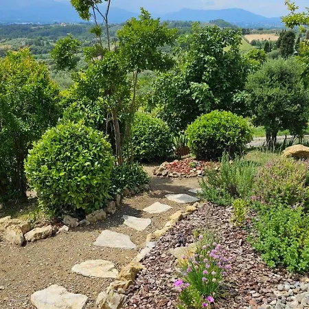 Panoramic In The Lucca Hills